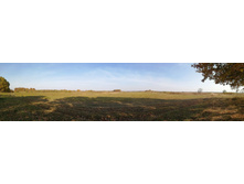 IMG 20201003 124647.jpg