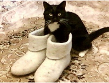 ���� ������!