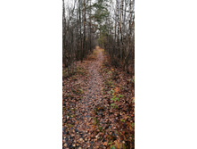 IMG 20201024 102610.jpg