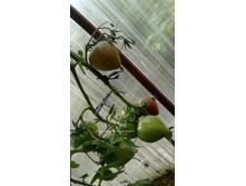 ������ ������ �� ���������