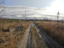 IMG 20201029 134747.jpg