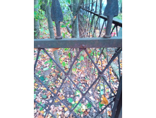 20200913 5 ������� 154646.jpg