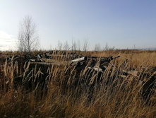 IMG 20201029 134757.jpg