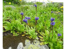 ��������� ����������.jpg