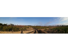 IMG 20201029 140232.jpg