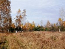 IMG 20201010 122506.jpg