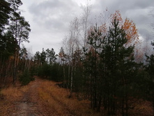 IMG 20201025 114100.jpg