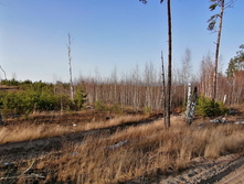 IMG 20201029 135959.jpg