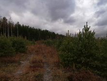 IMG 20201024 121311.jpg