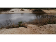 IMG 20201024 122638.jpg