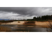 IMG 20201024 123906.jpg