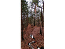 IMG 20201024 120230.jpg