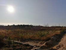 IMG 20201029 130636.jpg