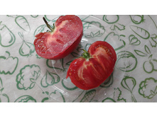 1884 � �������