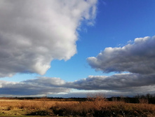 IMG 20201025 135722.jpg