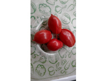 ������ ������� �� ������