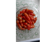 �������������