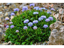 ��������� ������������������.jpg