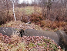 IMG 20201024 105335.jpg