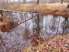 IMG 20201024 104712.jpg