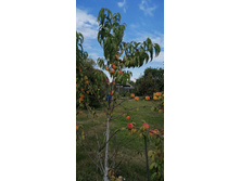 ��������� �� ��������� ������ �������� ������