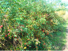 20200927 � ������� � � ��������� 114712.jpg