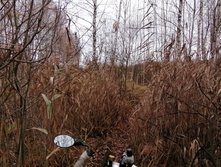 IMG 20201024 105205.jpg