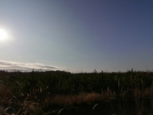 IMG 20201029 134025.jpg