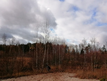 IMG 20201024 125105.jpg