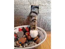 ������� ���, �������!