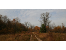 IMG 20201010 123114.jpg