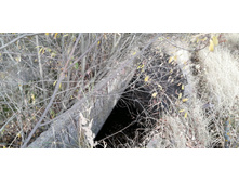 IMG 20201010 130123.jpg