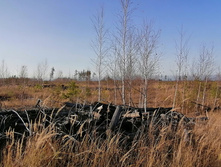 IMG 20201029 135314.jpg