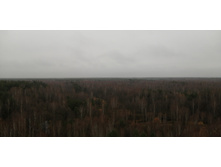 IMG 20201031 105149.jpg