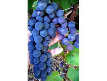 250776899-20201023 114244.jpg