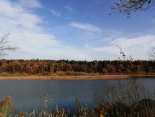 IMG 20201010 115018.jpg