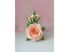 ����� 250 ���.�� ���������