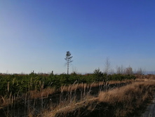 IMG 20201029 134035.jpg