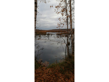 IMG 20201017 100152.jpg