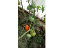 �������� ������.jpg