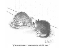 ���� �� �� ���� ��������, �� �� ��� ����� �� �� ��������� ����� ...