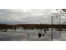 IMG 20201017 100003.jpg