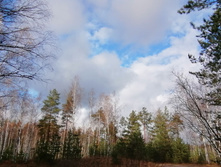 IMG 20201024 131827.jpg