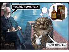 ������ �������? ��� � ������ ...