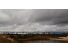 IMG 20201024 123958.jpg