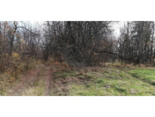 IMG 20201010 122005.jpg