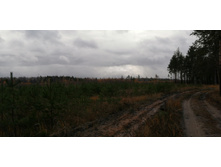 IMG 20201024 114420.jpg