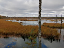 IMG 20201017 130010.jpg