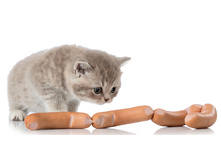 ���-�� �������������� �����-�� ������� ... ���� ��� �� �������, ������ ������� �� ��������� ...