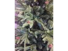 � ����������� ����